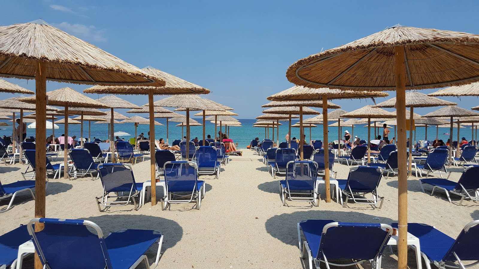 Μπαρ Ammos Beach: Ένα Καταφύγιο στη Χαλκιδική