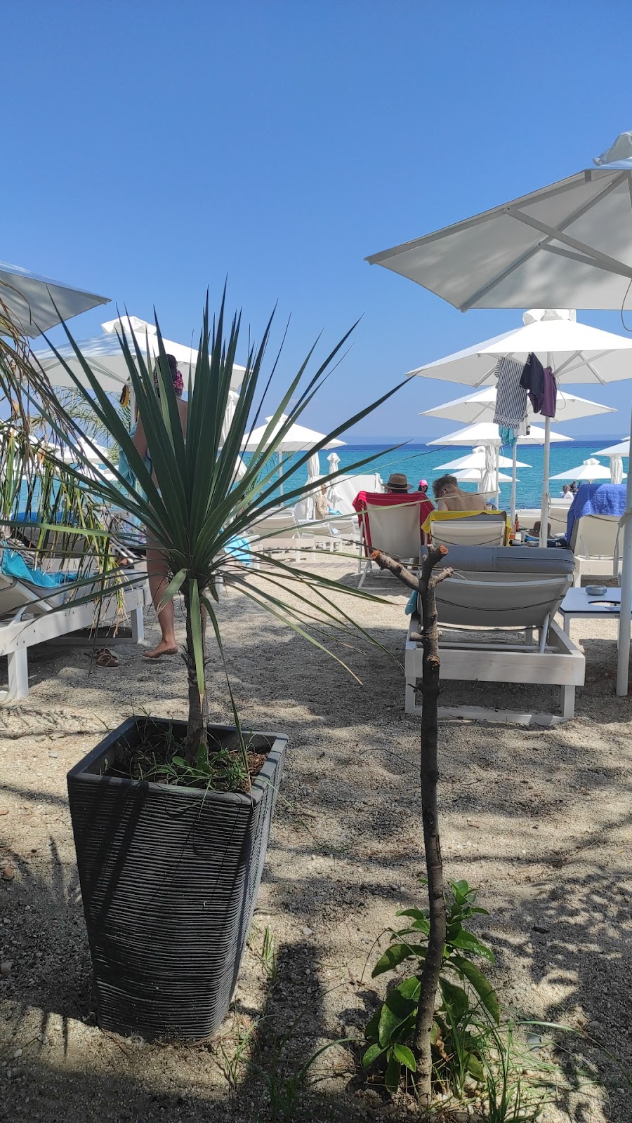 Aurelia Beach Bar - Καλοκαιρινές Αντανάκλασεις στο Πολύχρονο, Χαλκιδική