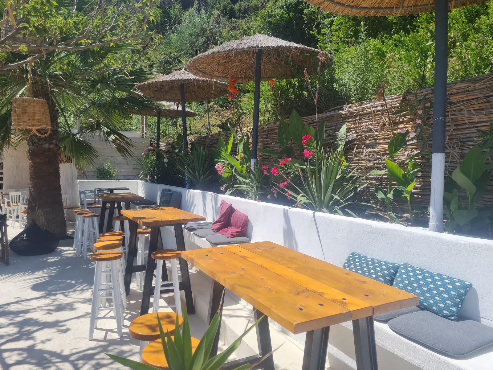 Beach Bar Ακρόγιαλο στην Αφίτο, Χαλκιδική - Ραίντινγκ 2.2 από 5