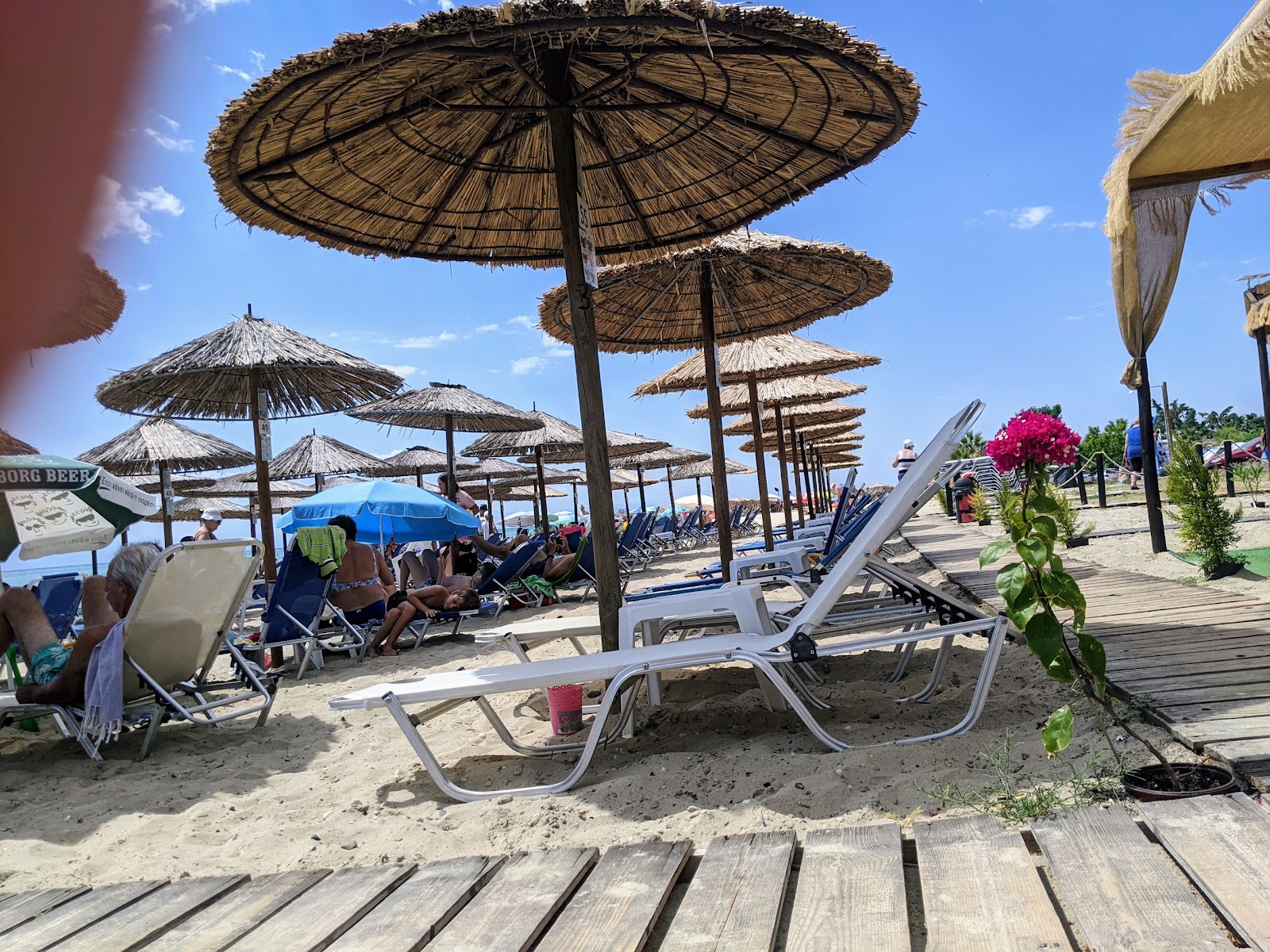 bar Beach Bar - Καντίνα "Ο γιατρός της πείνας" στη Νέα Καλλικράτεια, Χαλκιδική