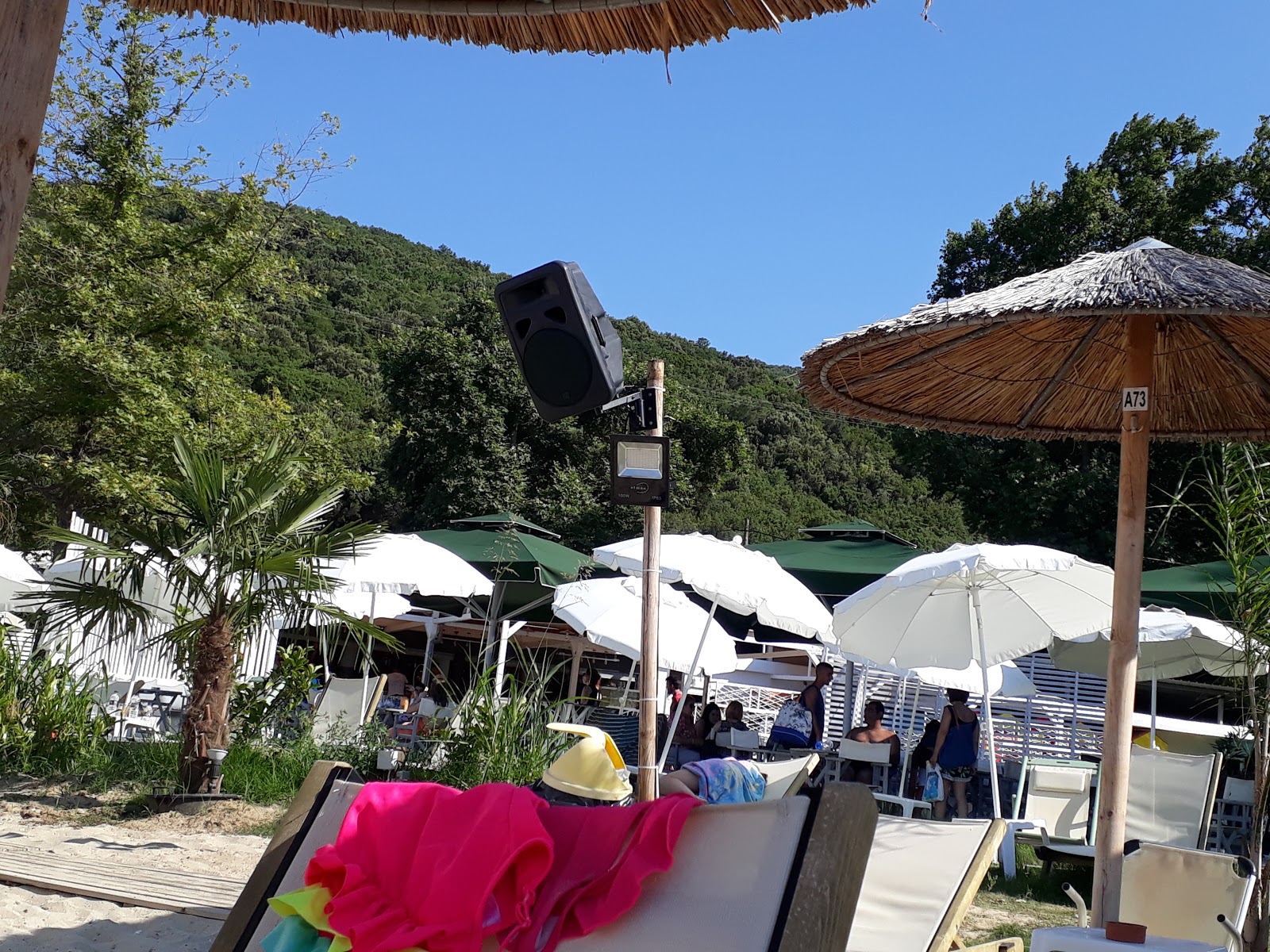 Bar Favela Beach Bar στη Σταυρού, Χαλκιδική: Ένας Παράδεισος για τους Λάτρεις της Διασκέδασης