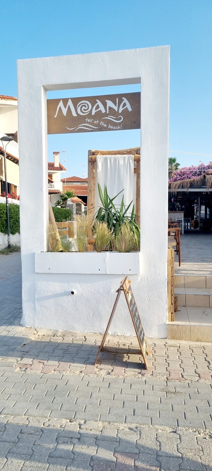 <h1>Moana Beach Bar: Ένας Παράδεισος στην Πευκοχώρα</h1>