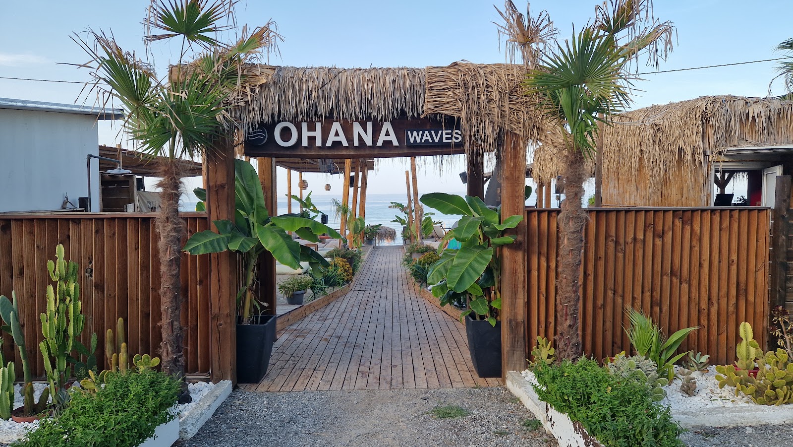 Όλα για το Ohana Waves Beach Bar στην Καλλιθέα, Χαλκιδική