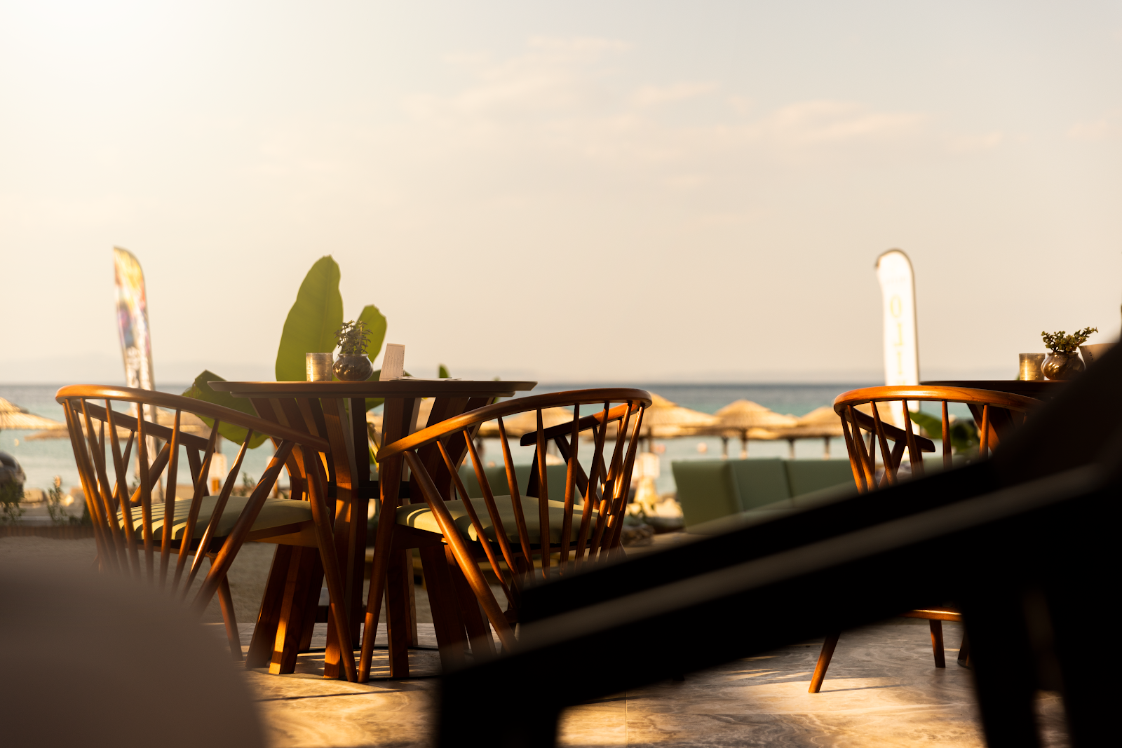 Bar Olivo Sea Side Bar Restaurant στην Πολύχρονο Χαλκιδικής: Μια Γαστρονομική Εμπειρία