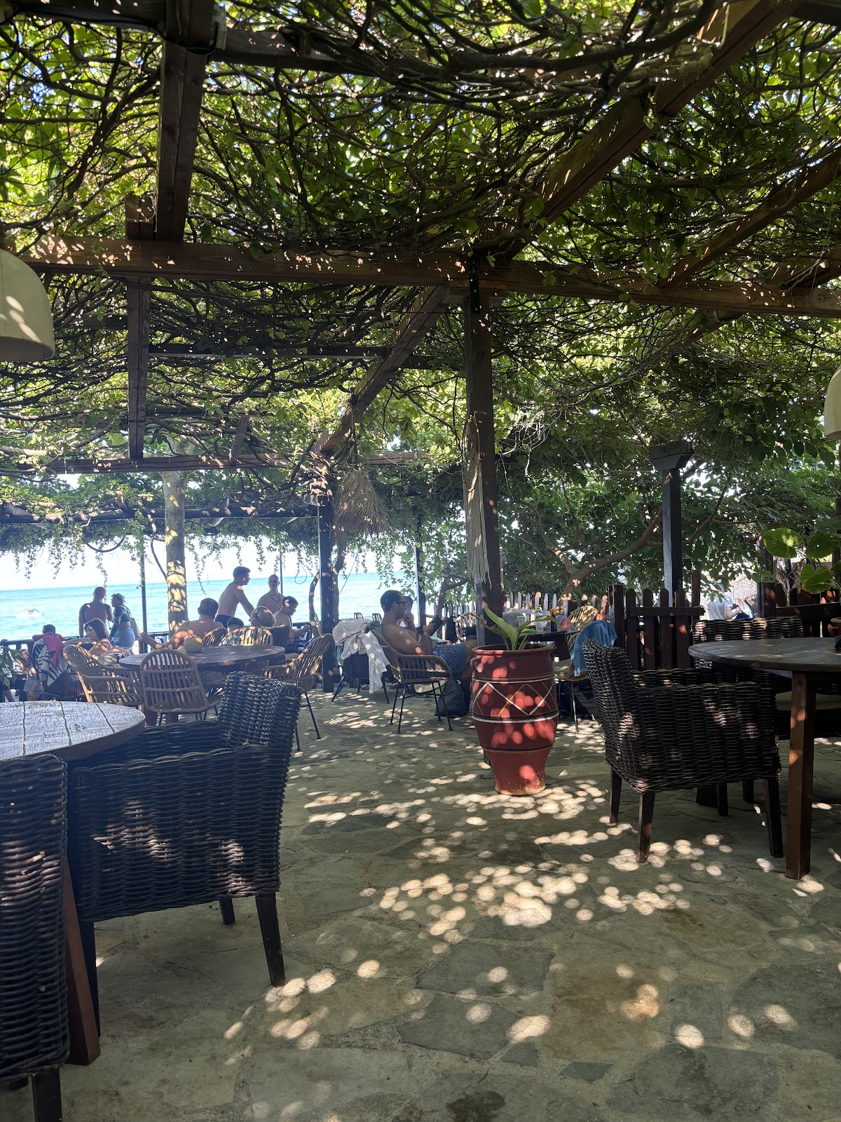 Μπαρ Papua Beach Bar στην Καλλιθέα, Χαλκιδική