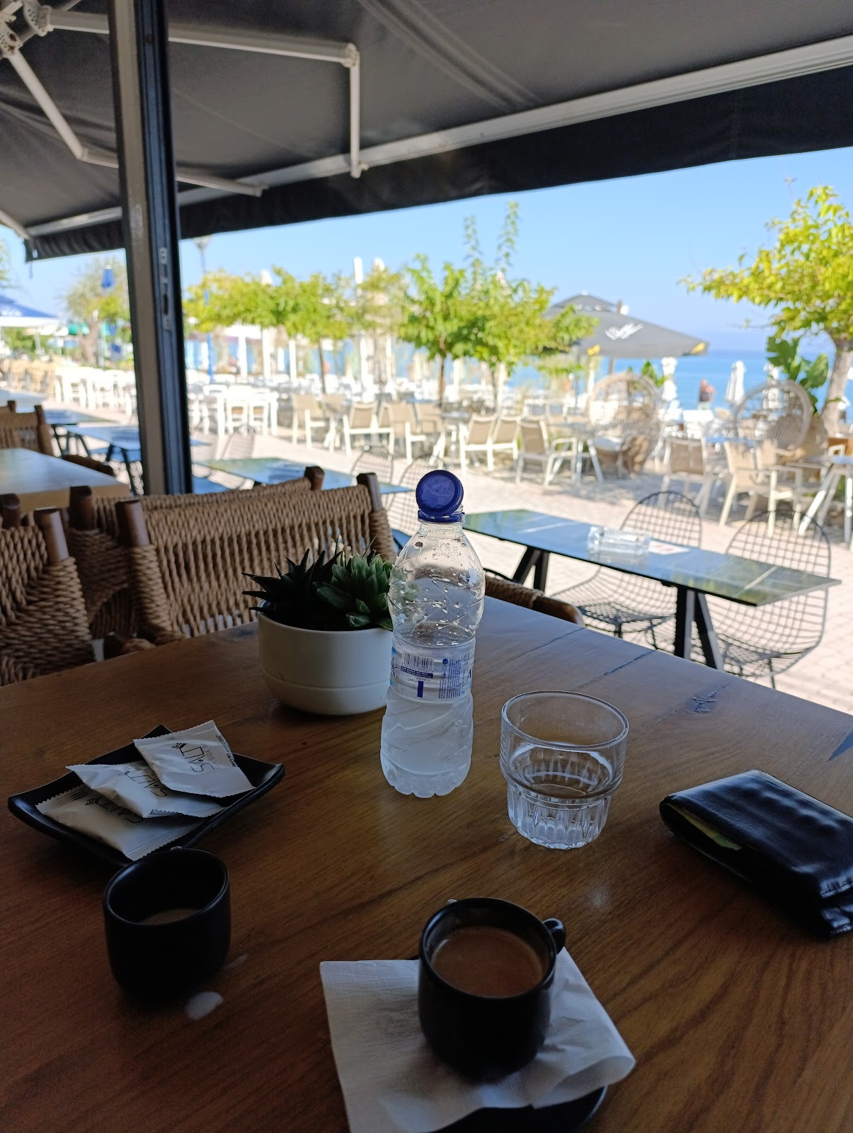 Bar Salty Sea Side Bar στη Πολύχρονο Χαλκιδικής: Ένας Παράδεισος για τους Λάτρεις του Cocktail