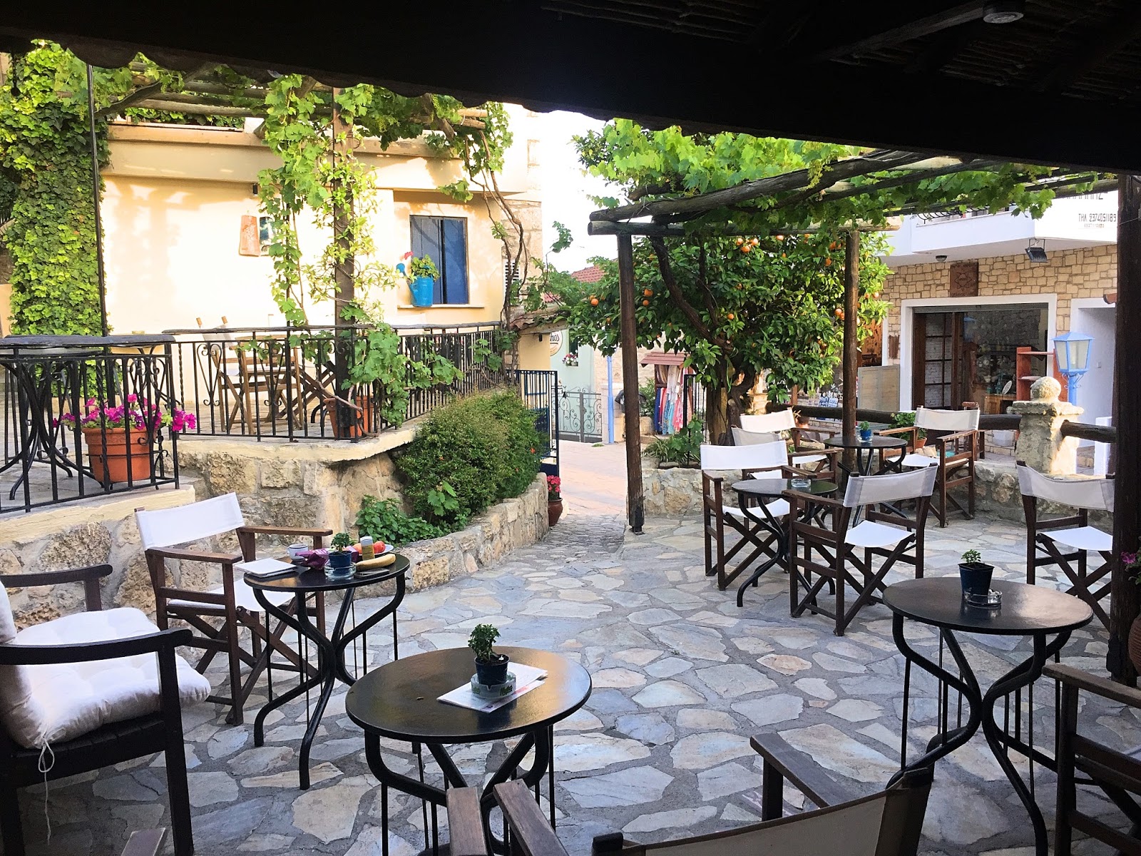 Καφετέρια Cafe Bar Paralis στην Αφίτο, Χαλκιδική - Βαθμολογία 4.8