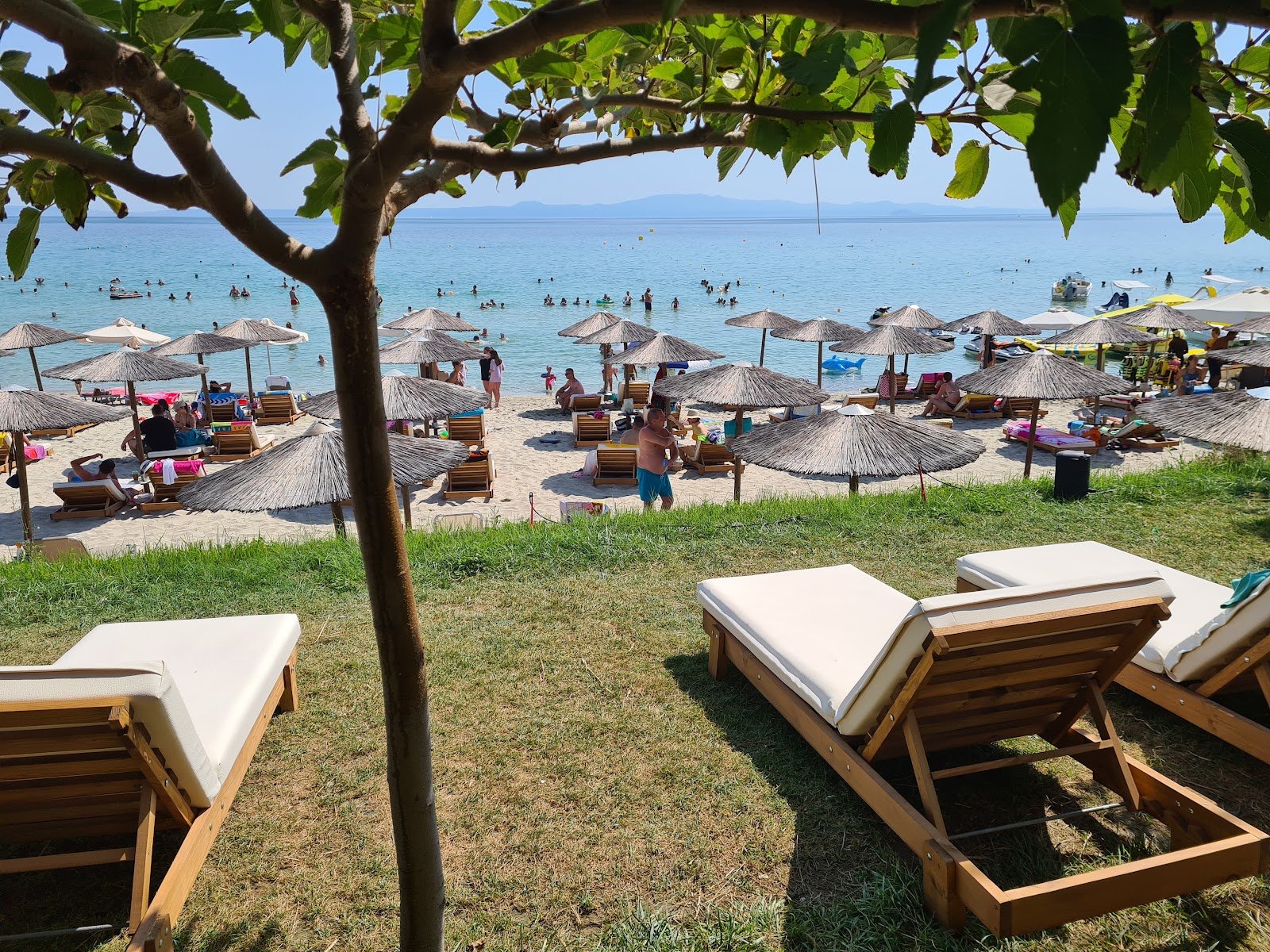 Καφέ Koralli Beach Bar στην Καλλιθέα, Χαλκιδική