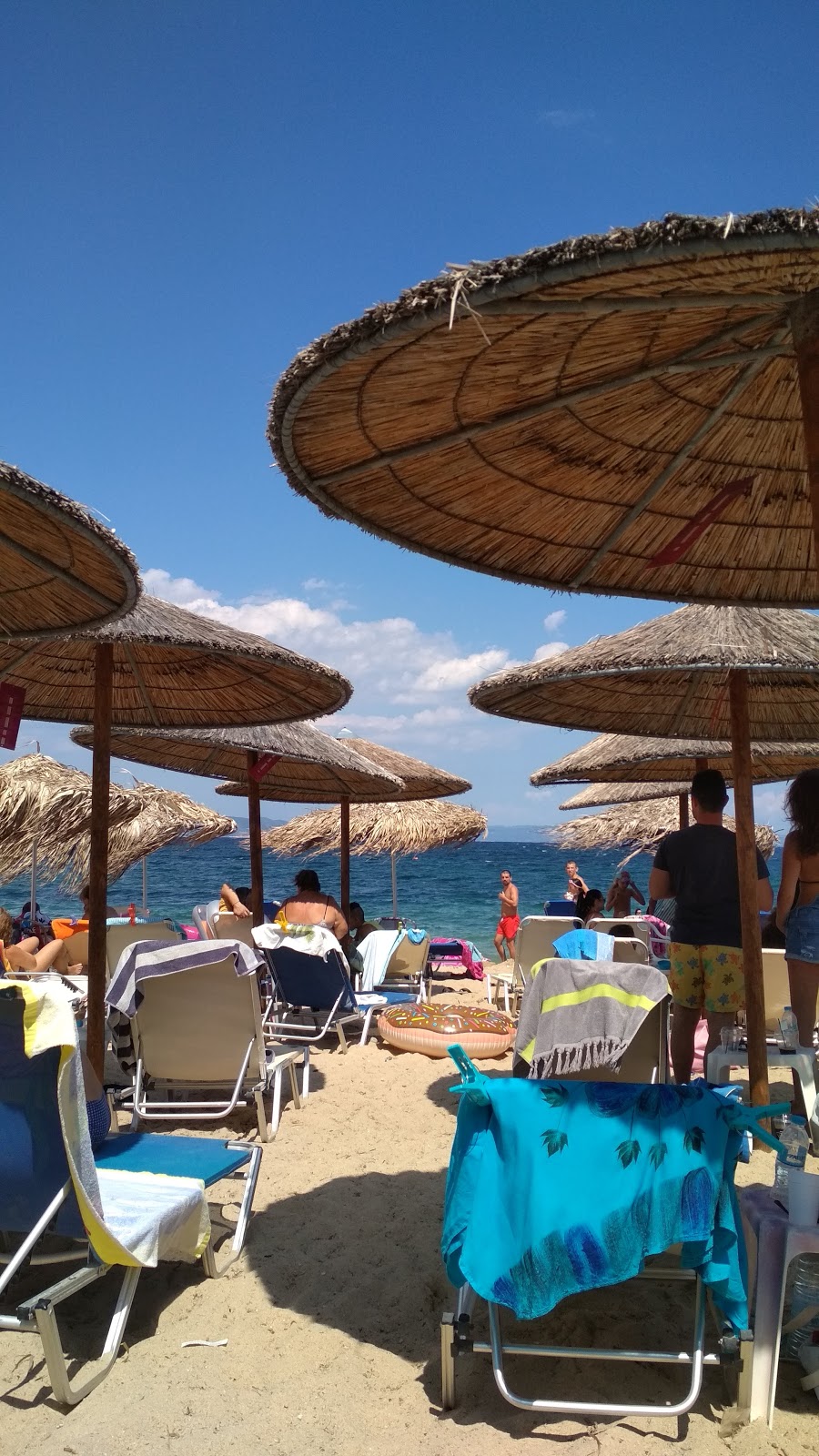 cafe ΡΟΖ-ΜΩΒ Beach Bar στην Νέα Ποτίδαια, Χαλκιδική με 4.4/5 από 82 σχόλια