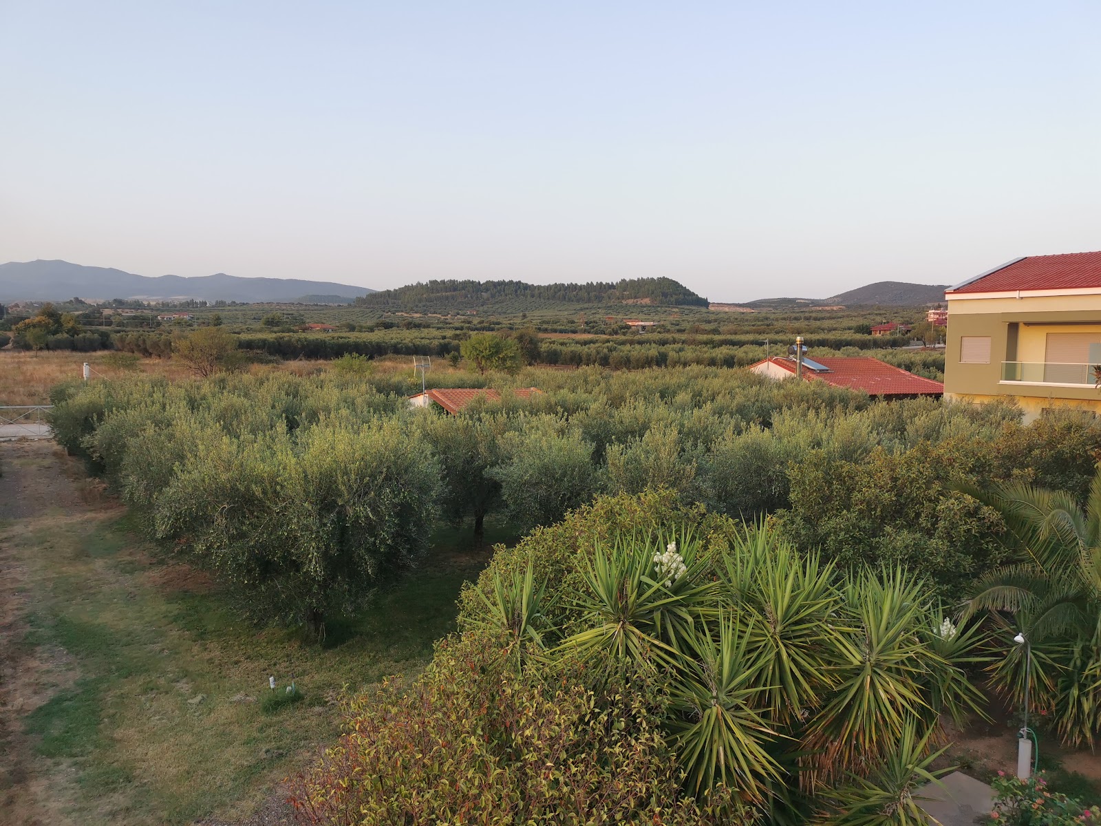 Estelle Hotel: Ένας Παράδεισος στη Γερακινή Χαλκιδικής