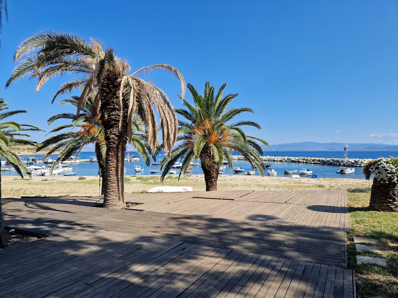 Πάρκο Νέα Φώκαια στην Αθύτο, Χαλκιδική με βαθμολογία 4.5 από 5 από πάνω από 37 σχόλια