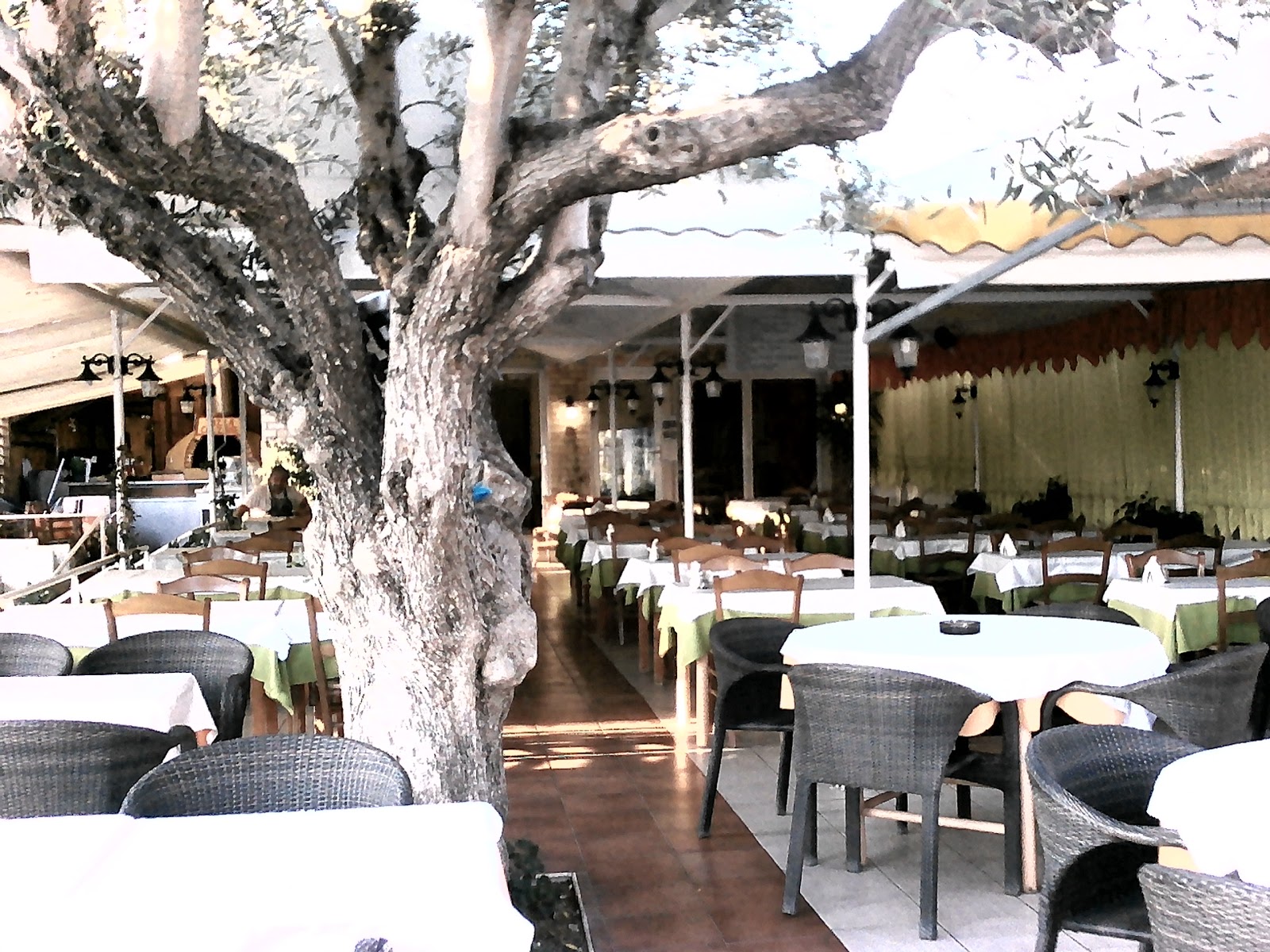 Εστιατόριο Marco Polo Taverna Grill στη Γερακινή, Χαλκιδική