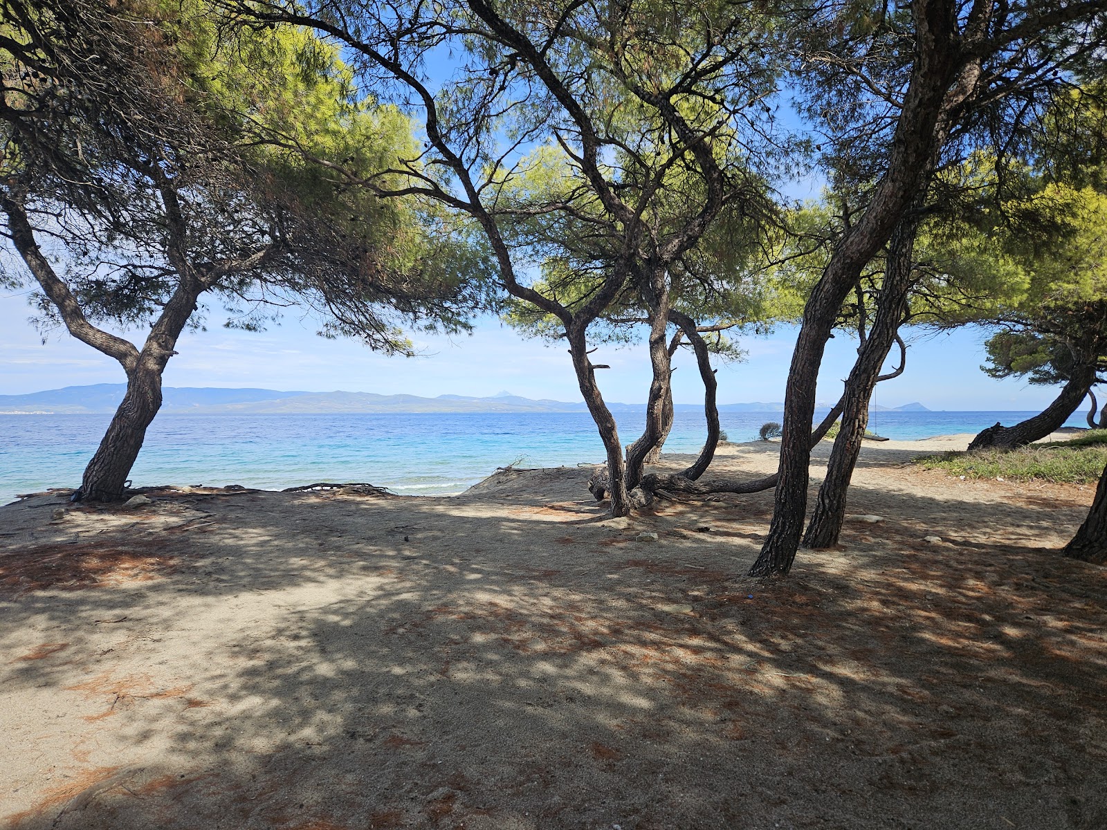 Αξιοθέατο Seagull στο Παλαιούρι, Χαλκιδική