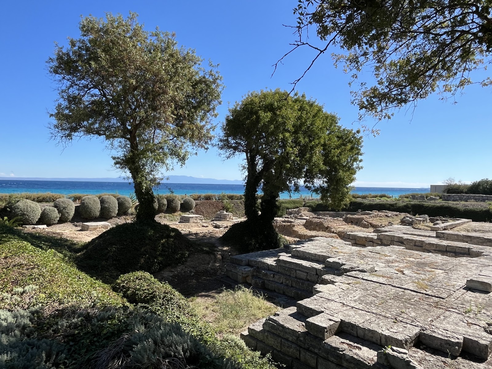 Ναός του Άμμωνος Διός στην Αφίτο, Χαλκιδική