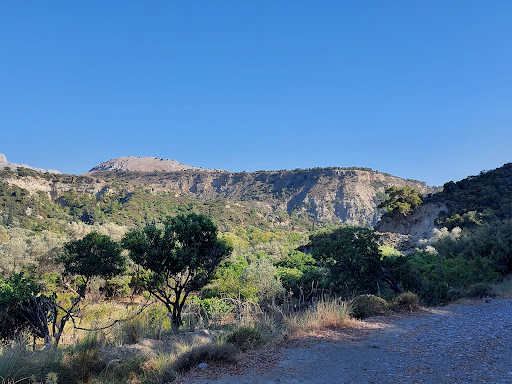 JUNGLE of RHODES - MEETINGPOINT Nikos Papas